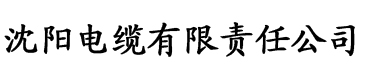 金瓶梅2快播电缆厂logo